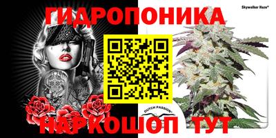 хмурый Можга