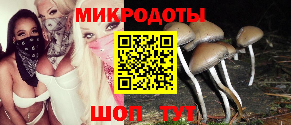 Усть-Джегута  Псилоцибиновые грибы GOLDEN TEACHER  Псилоцибиновые грибы GOLDEN TEACHER  Вход с VPN 